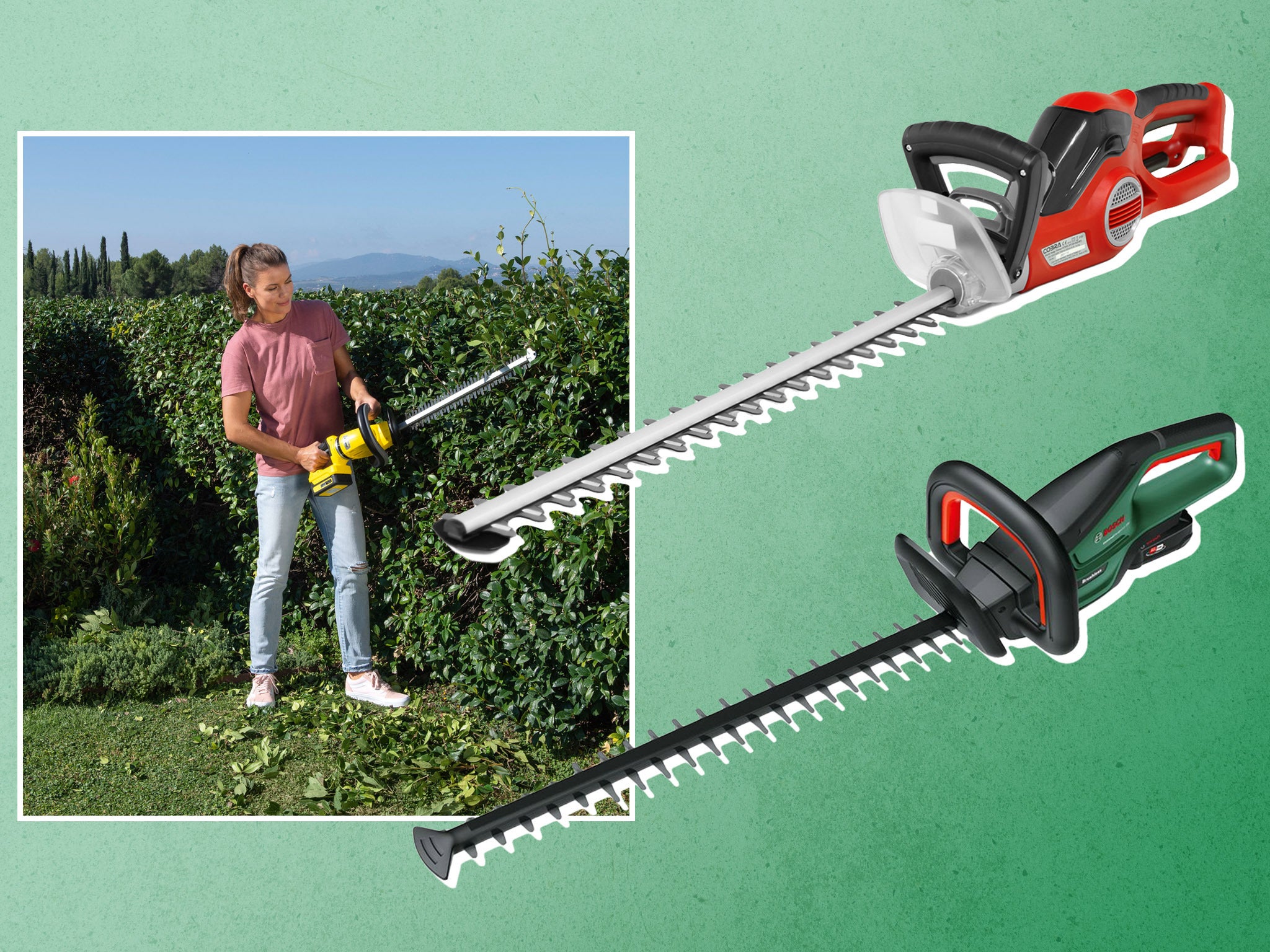 10 best hedge trimmers 2023: Cordless, long reach, electric | The Independent