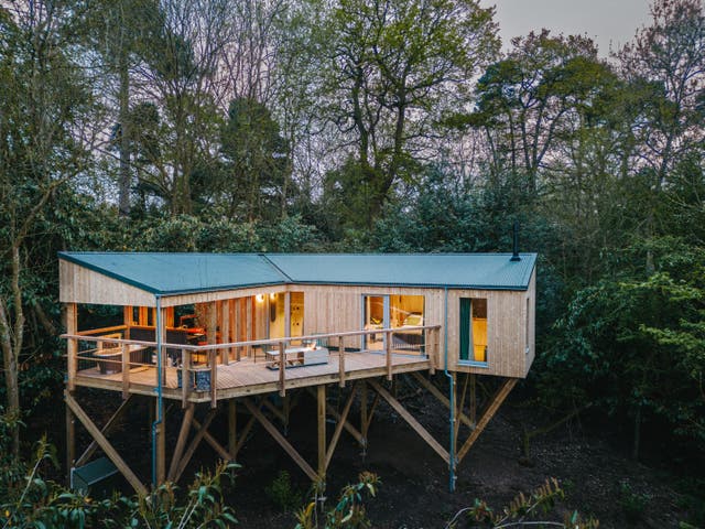 <p>Get back to nature with Rewild Things</p>