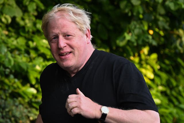 <p>Boris Johnson has called on a senior Tory MP to resign from the privileges committee</p>