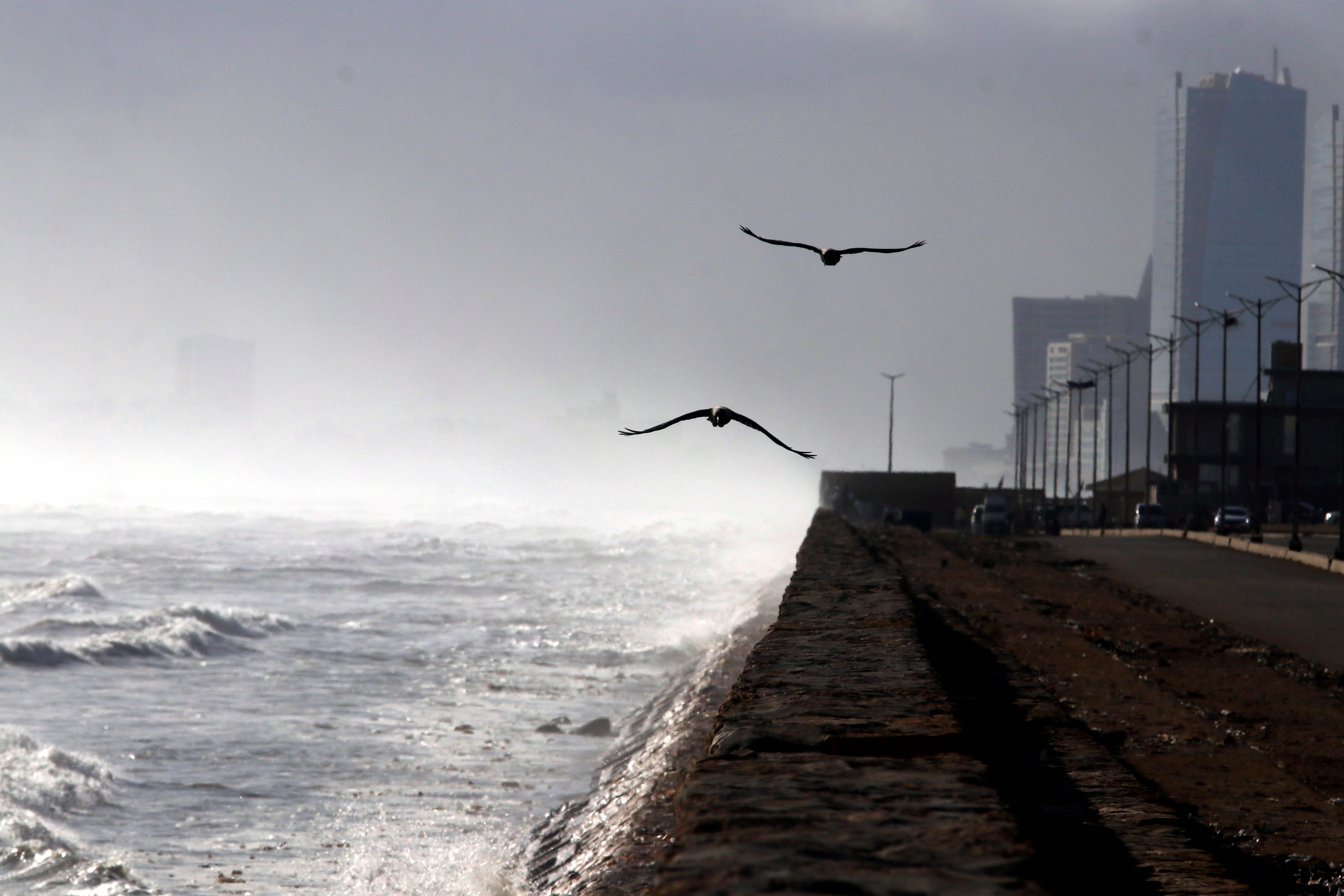 Birds fly amid high tides and heavy winds ahead of cyclone Biparjoy, in Karachi, Pakistan