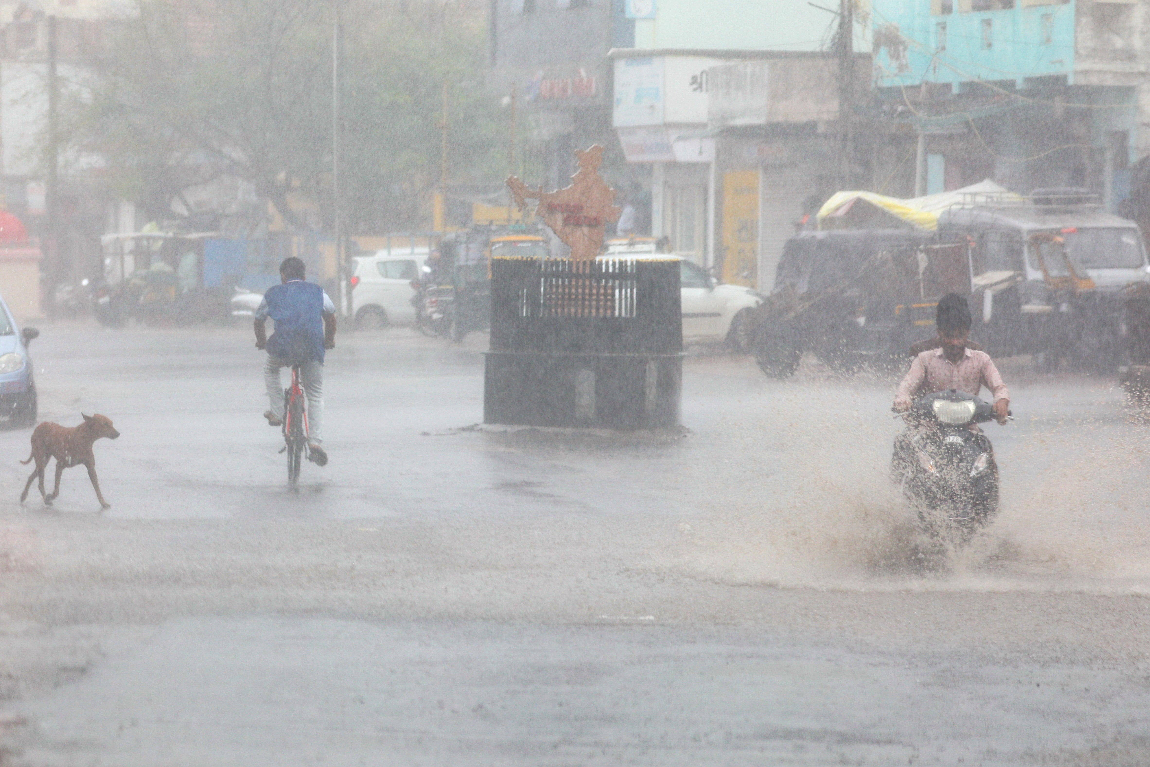 People and a dog move on a street during heavy rain in Mandvi, in the Kutch district of the western state of Gujarat
