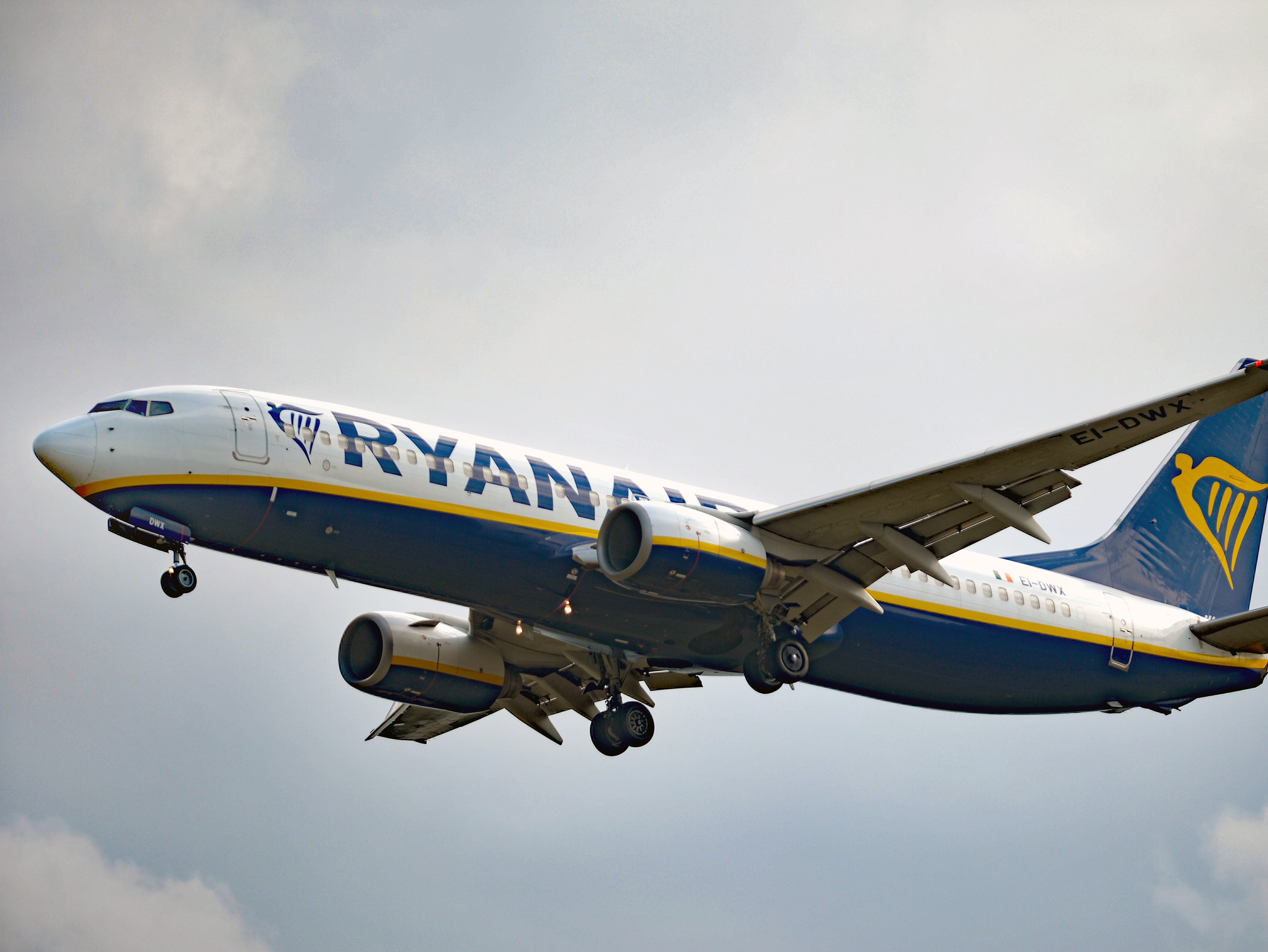 Ryanair said that passengers were advised of their options