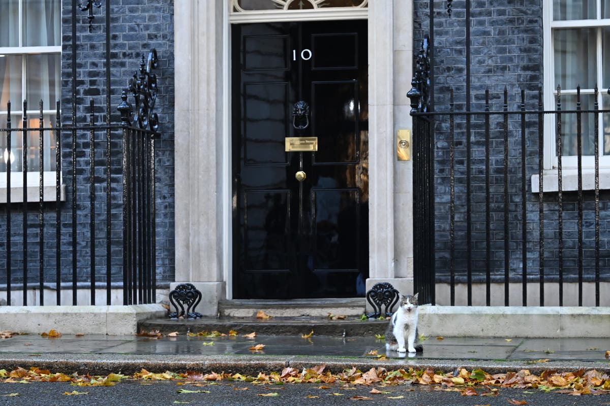 Revealed: Downing Street staff&rsquo;s &lsquo;pantomime&rsquo; to hide No.10 lockdown breaches