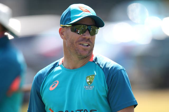 David Warner has been backed to excel in the Ashes (Simon Marper/PA)