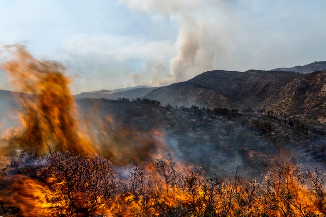 ESPAÑA-CAMBIO CLIMÁTICO-INCENDIOS