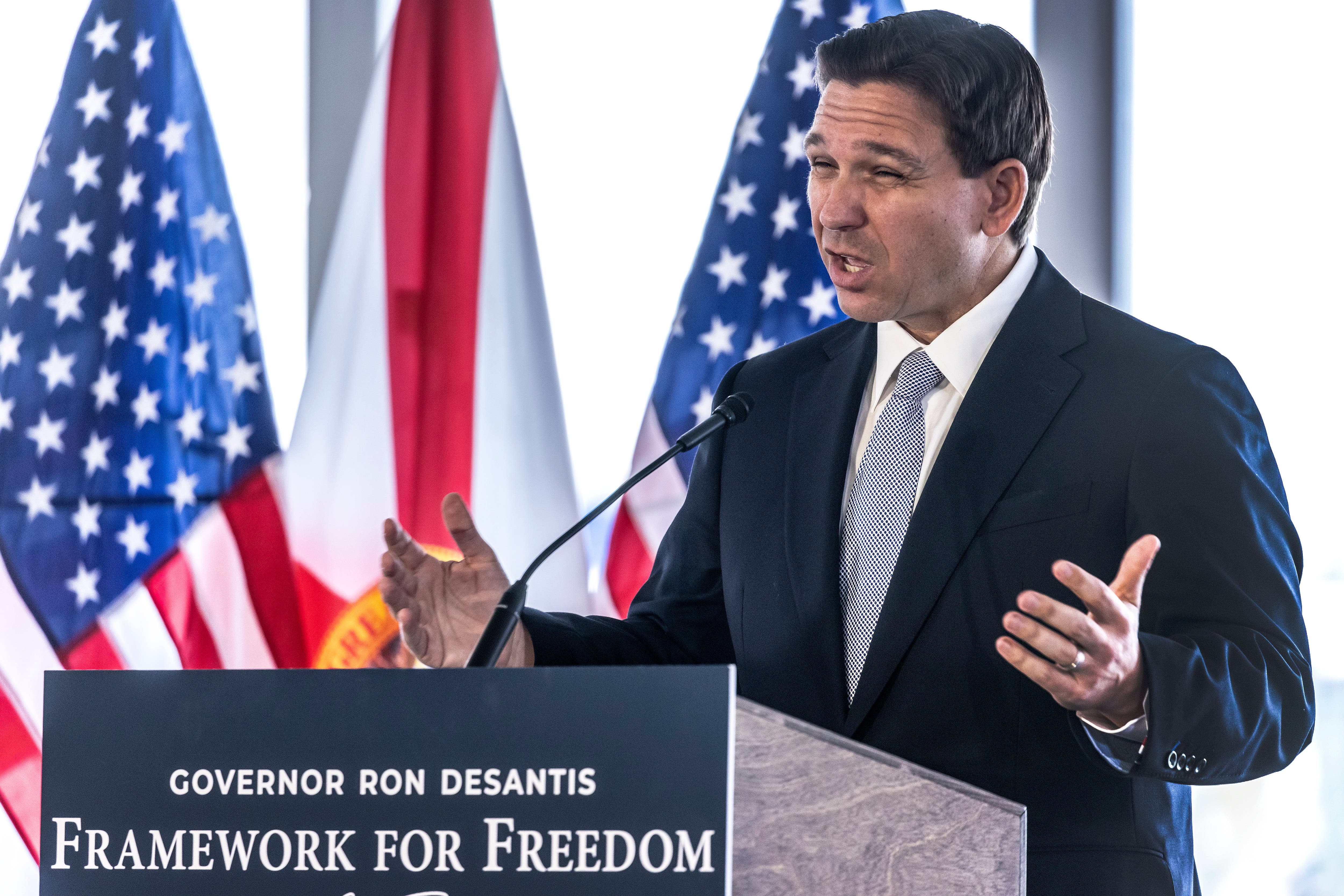 A zoo, Black History event and university funding: Ron DeSantis under fire after vetoing local funding because lawmakers didn't endorse him - Vimarsana News