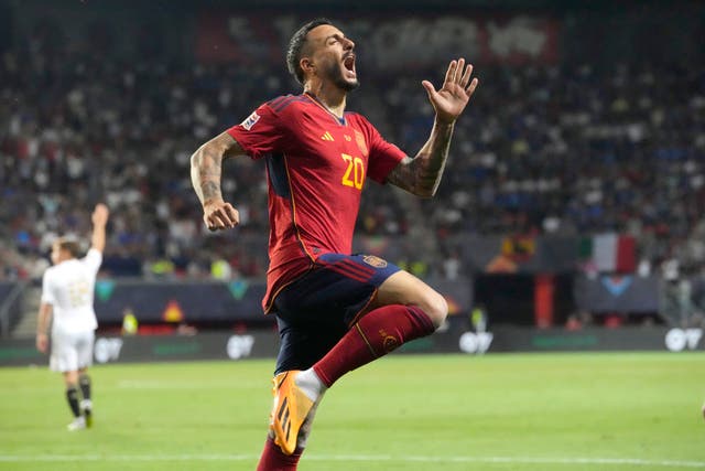 Joselu scored Spain’s late winner against Italy (Martin Meissner/AP)