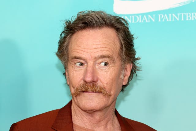<p>Bryan Cranston at the premiere of ‘Asteroid City'</p>