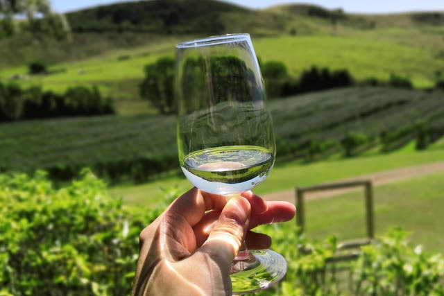 <p>But why did sauvignon blanc become so popular 15 years ago? </p>