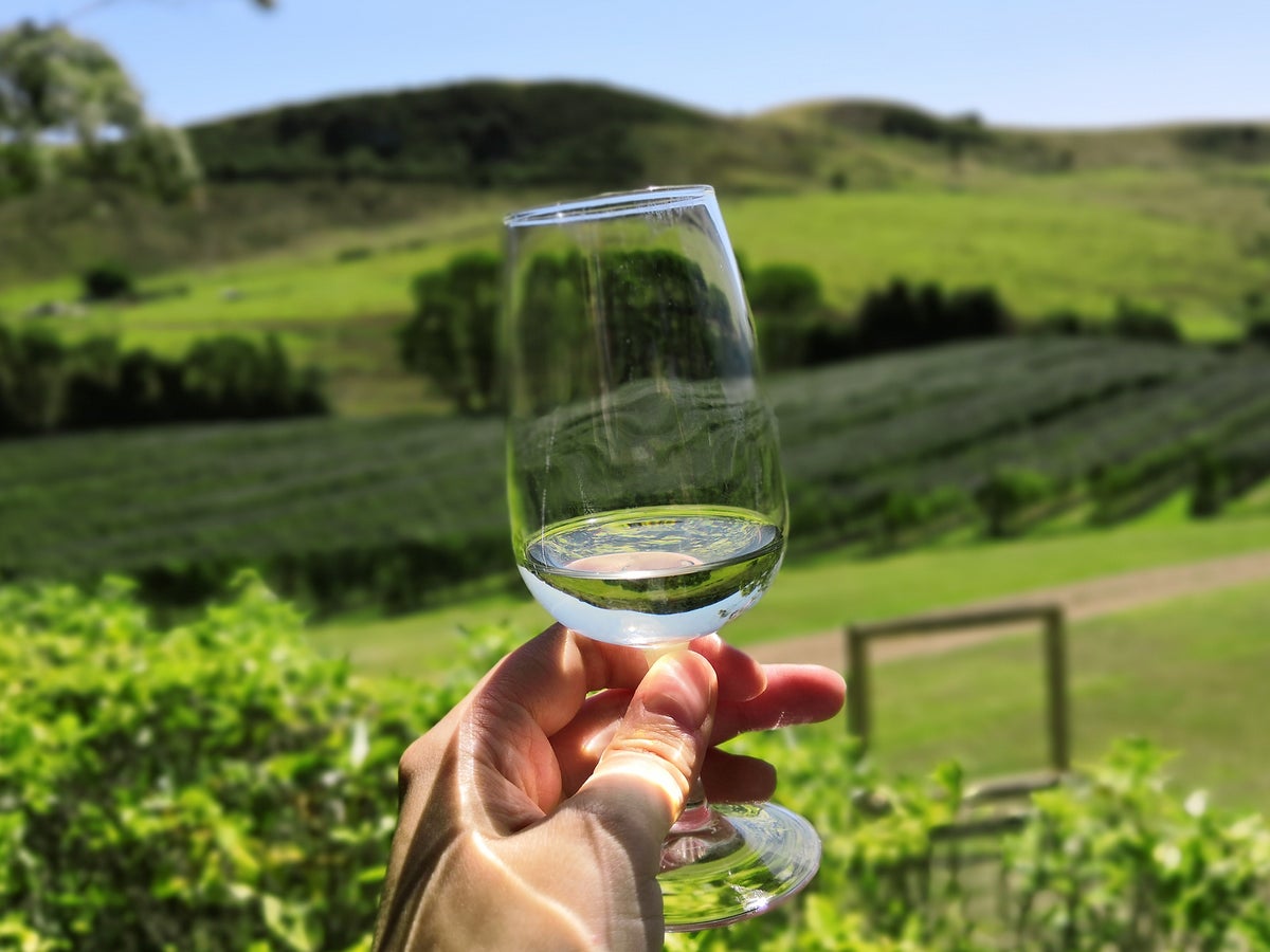The curious history of sauvignon blanc – and what to drink if you hate it