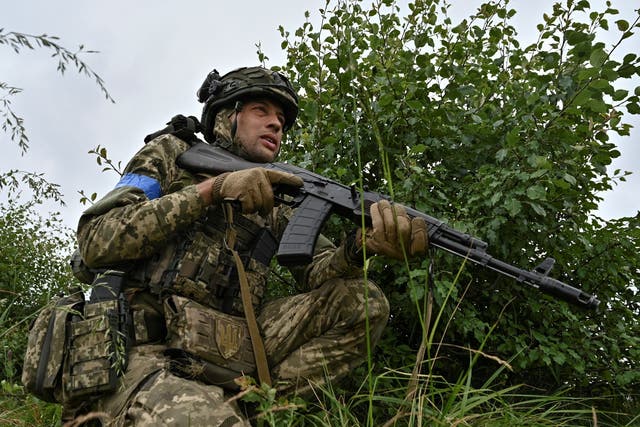 <p>A Ukrainian soldier in the Zaporizhzhia region</p>