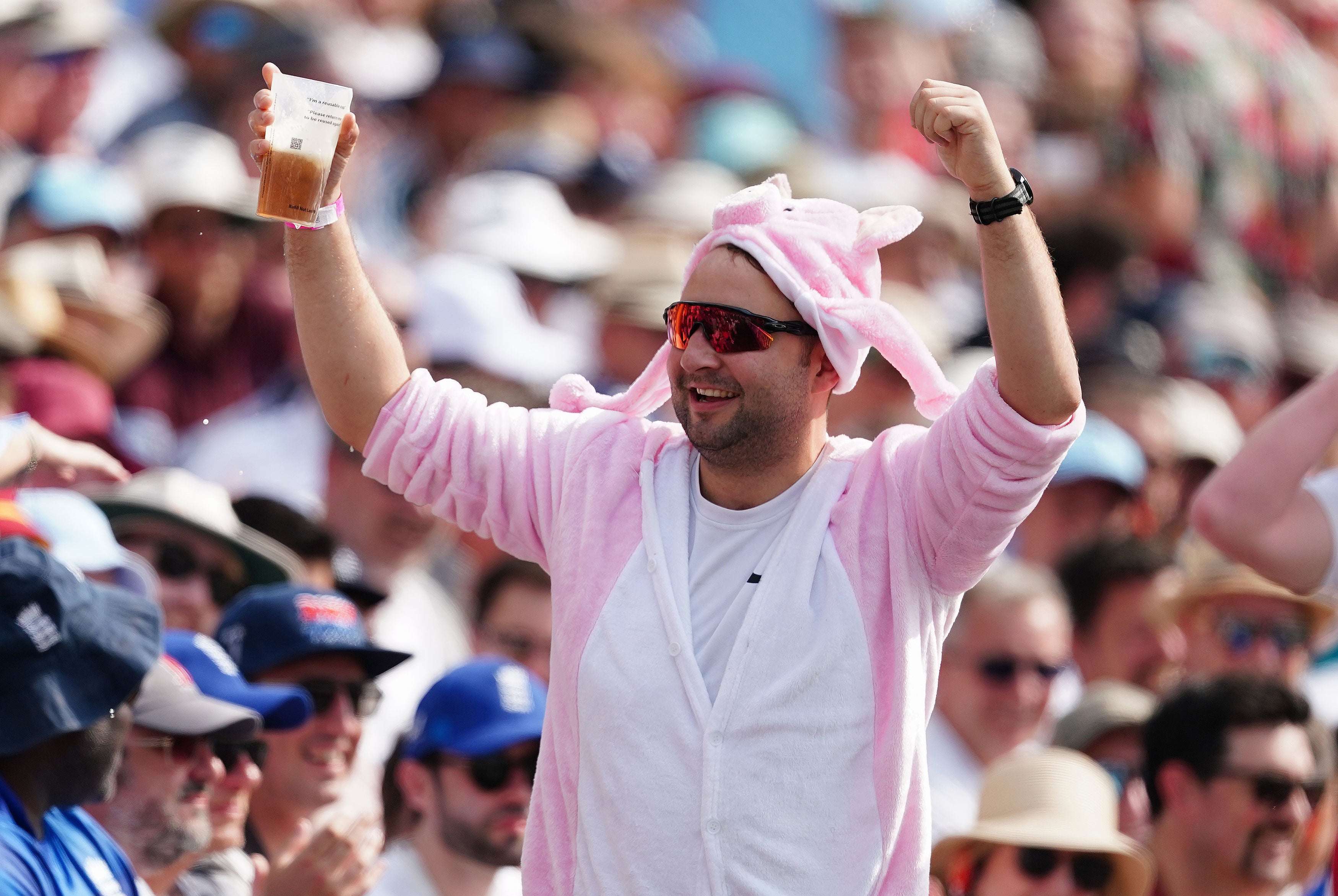 An England fan dressed as a pig enjoys the sunshine at Edgbaston