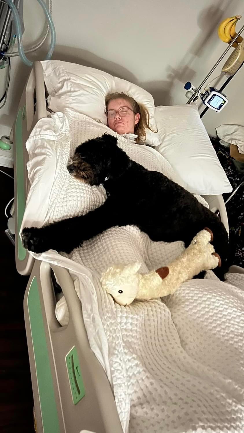 Caitlin is pictured this week sleeping at home with her service dog, Belle; since her injury, her mother sleeps in the same room