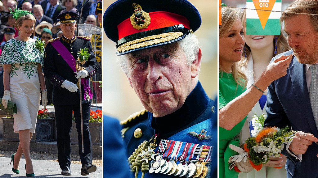 <p>Royals from Belgium, the UK, and the Netherlands</p>