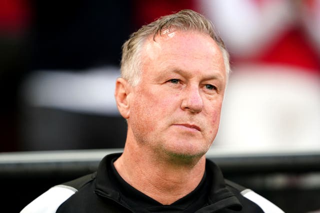 Northern Ireland manager Michael O’Neill saw his side beaten by Denmark (Zac Goodwin/PA)