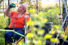 Extreme heat baking much of Texas, with forecasters saying no relief anytime soon