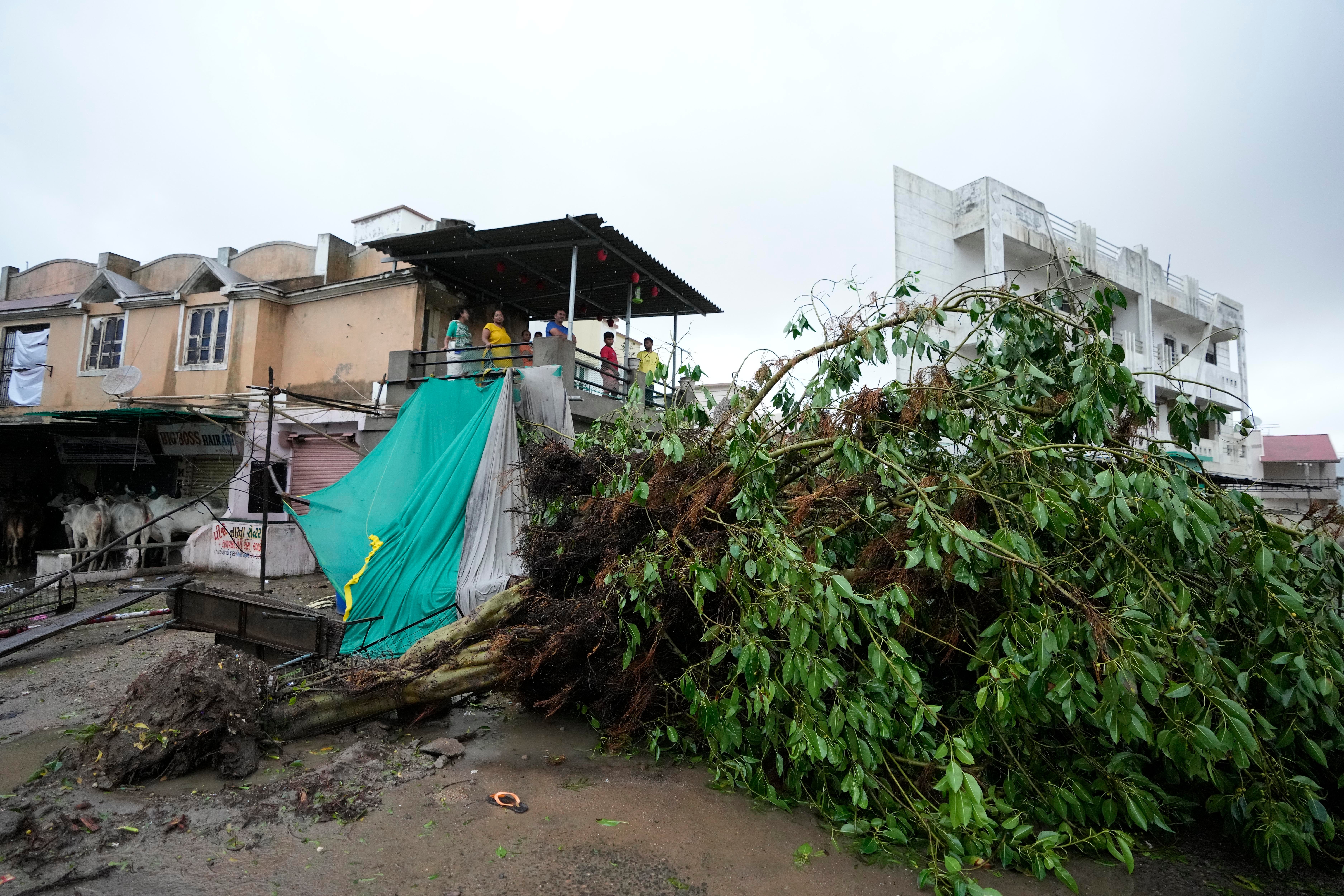 India South Asia Cyclone