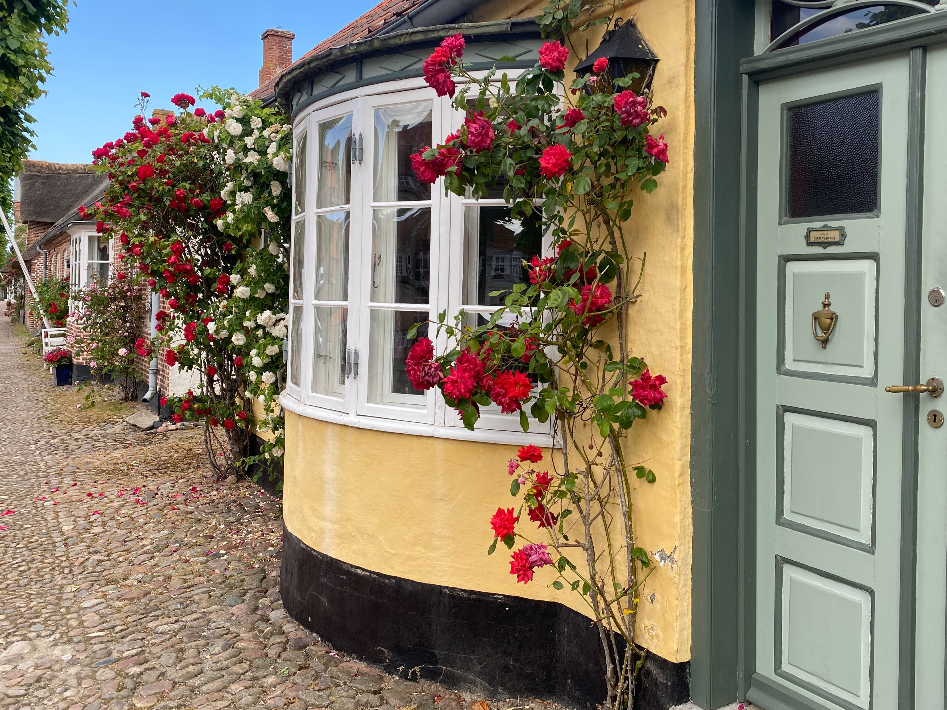 Rosy outlook: the main street in Møgeltønder, Denmark