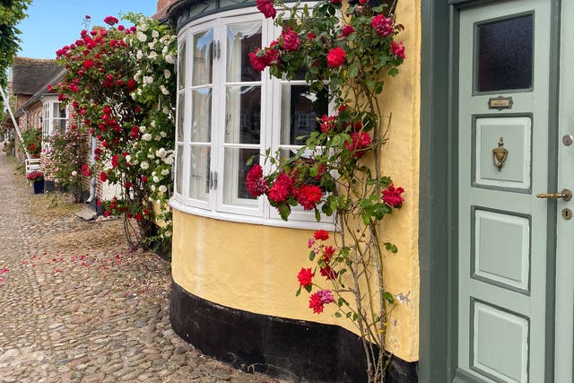 <p>Rosy outlook: the main street in Møgeltønder, Denmark</p>
