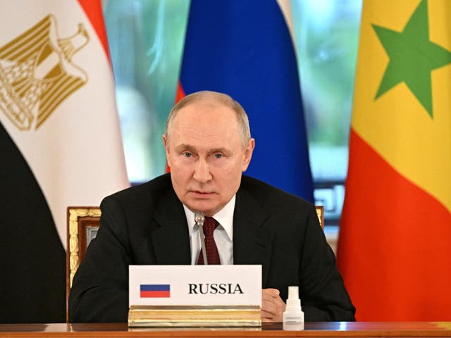 <p>Russian President Vladimir Putin attends a meeting with delegation of African leaders</p>