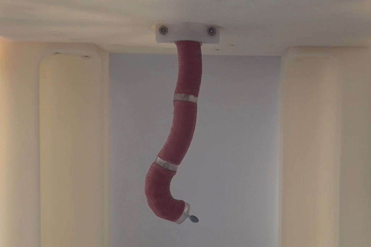Self-propelling robot endoscope ‘could make bowel cancer screening comfortable’ Self-propelling robot endoscope ‘could make bowel cancer screening comfortable’