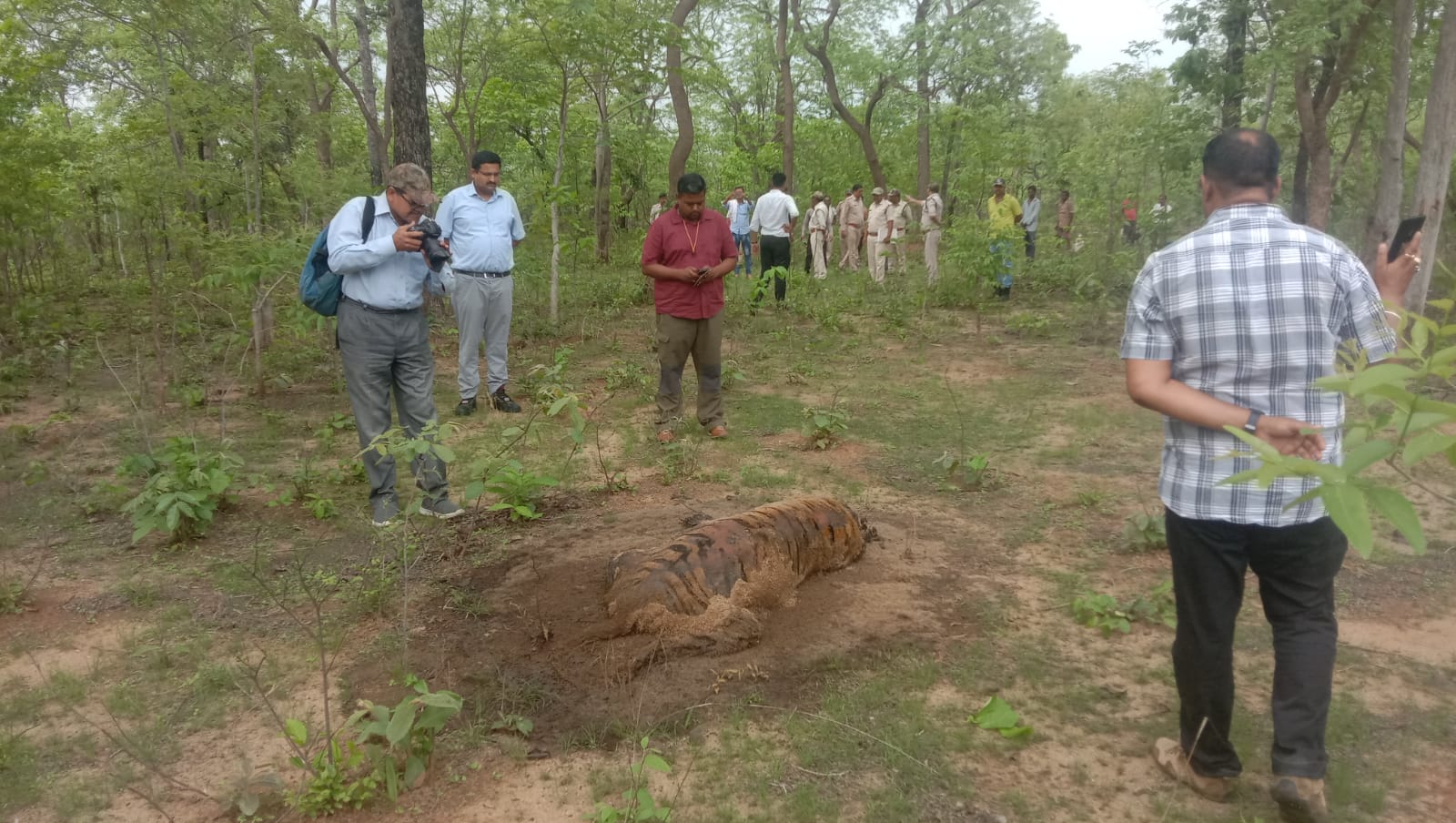 Officials monitor the carcass of a tiger allegedly killed due to electrocution in July 2022 in Madhya Pradesh’s Umaria