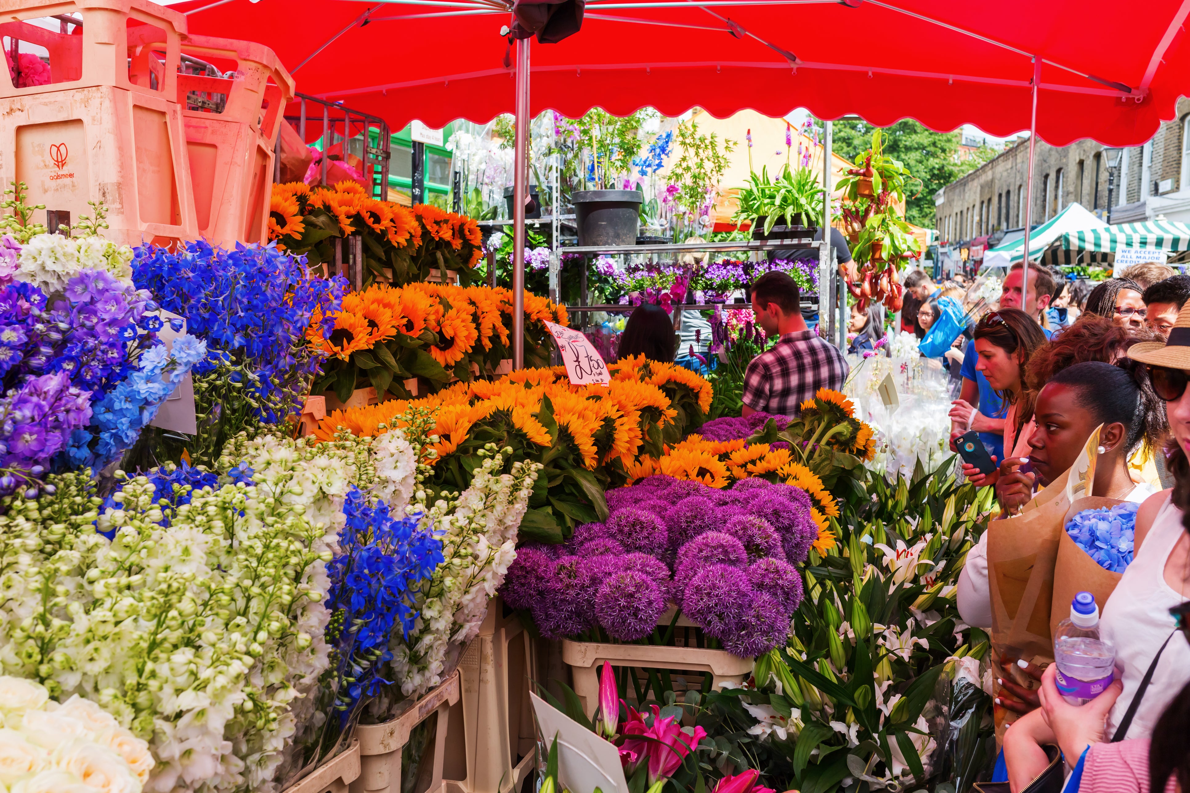 Spend a Sunday morning at Columbia Road Flower Market