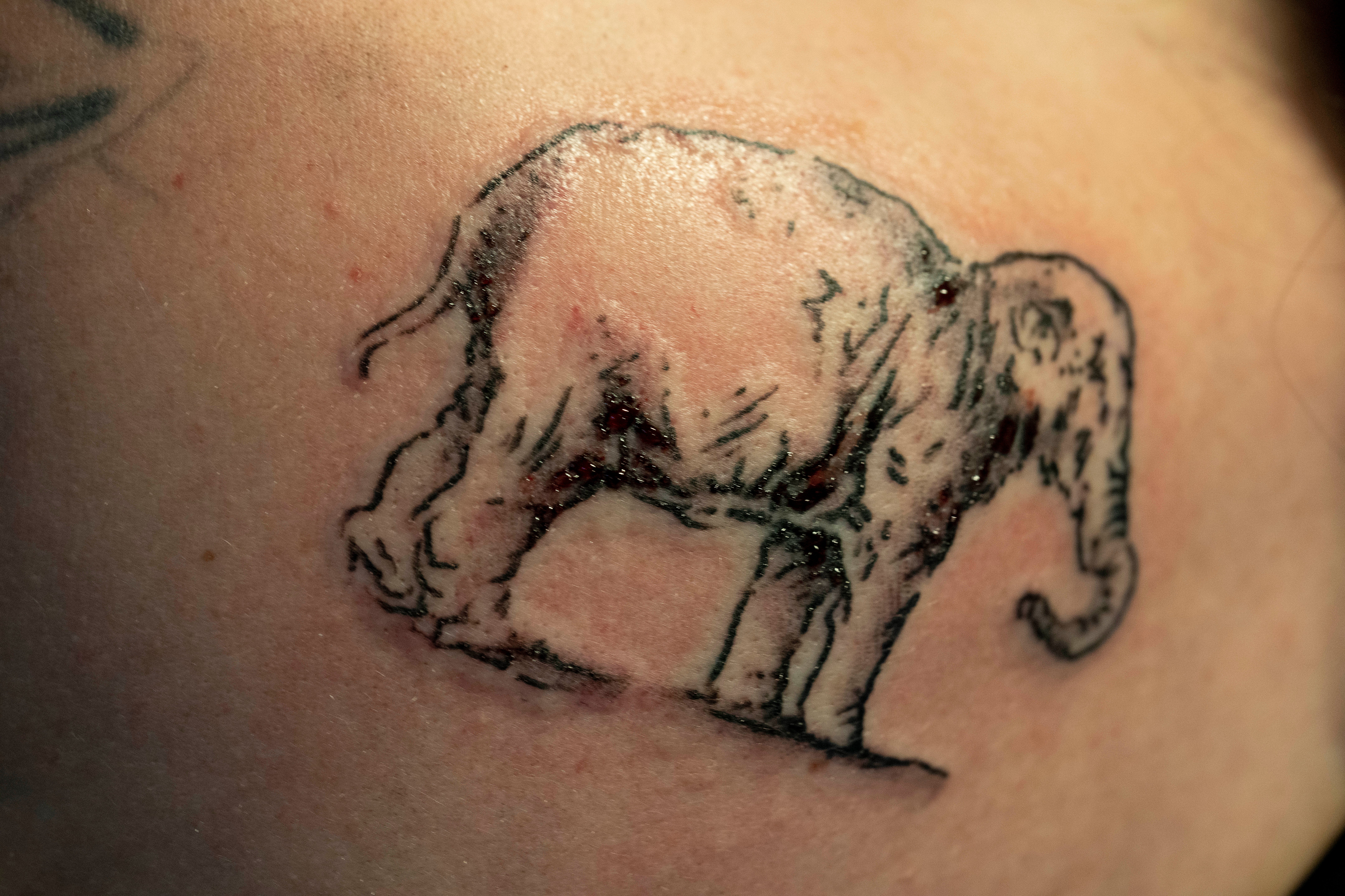 Netherlands Rembrandt Tattoos