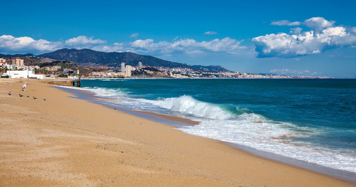 西班牙度假者在 48 个海滩因污染和狗屎被“黑旗”袭击后发出警告