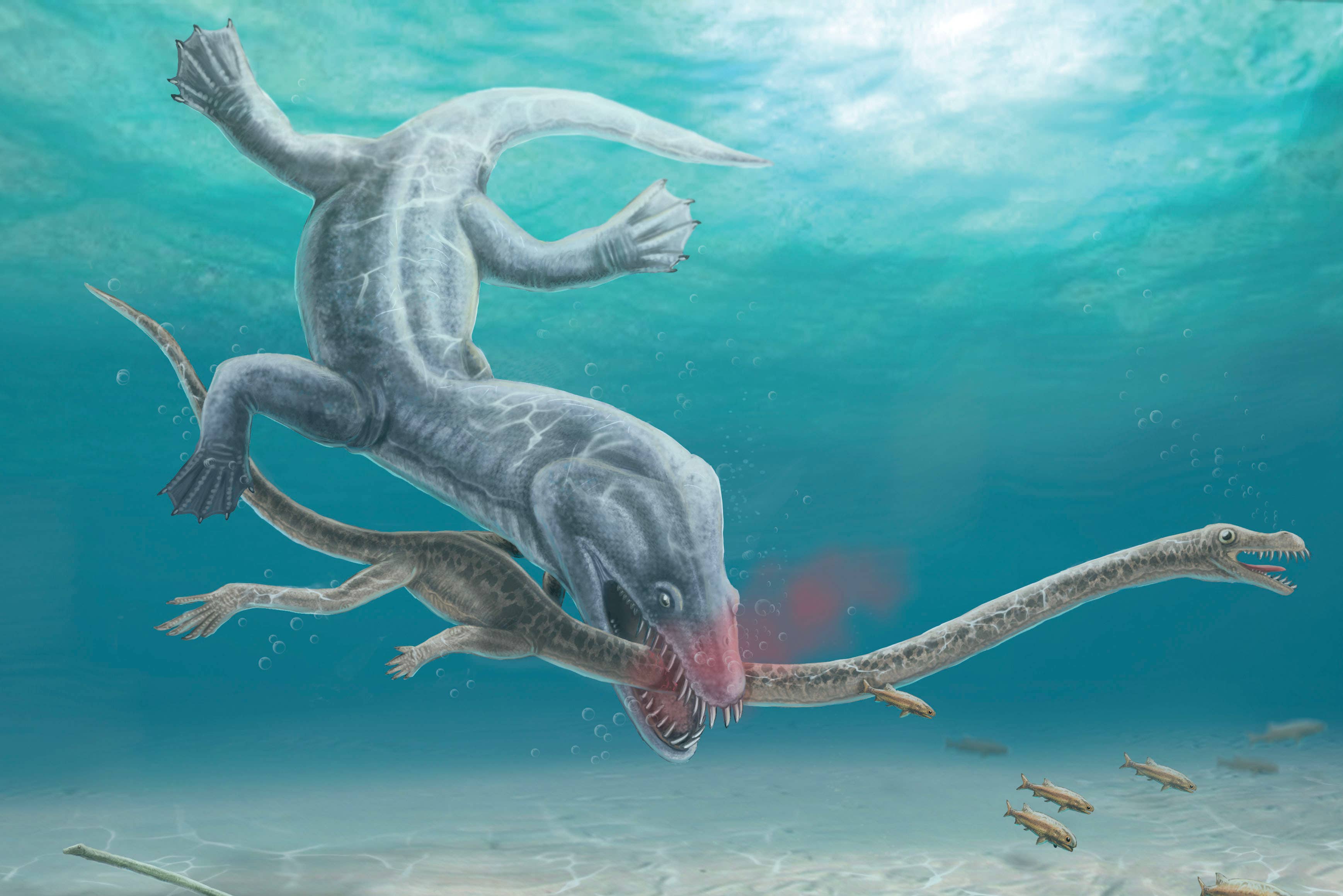 Pre-historic long-necked reptiles were decapitated by their predators –  study | The Independent