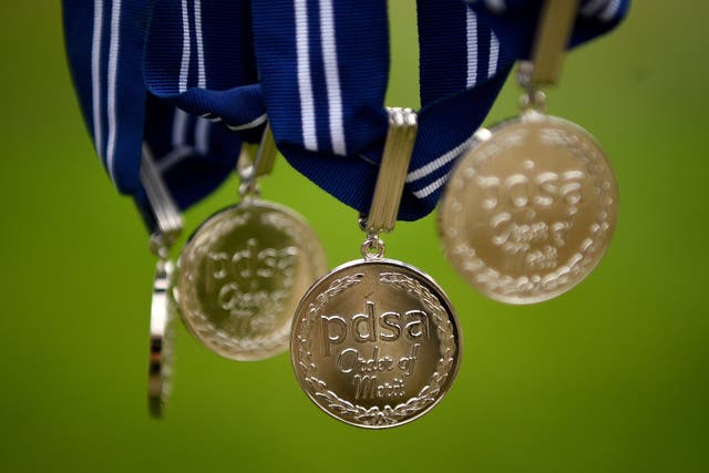 A number of PDSA Animal OBEs, which were received by police dogs (Kirsty O’Connor/PA)