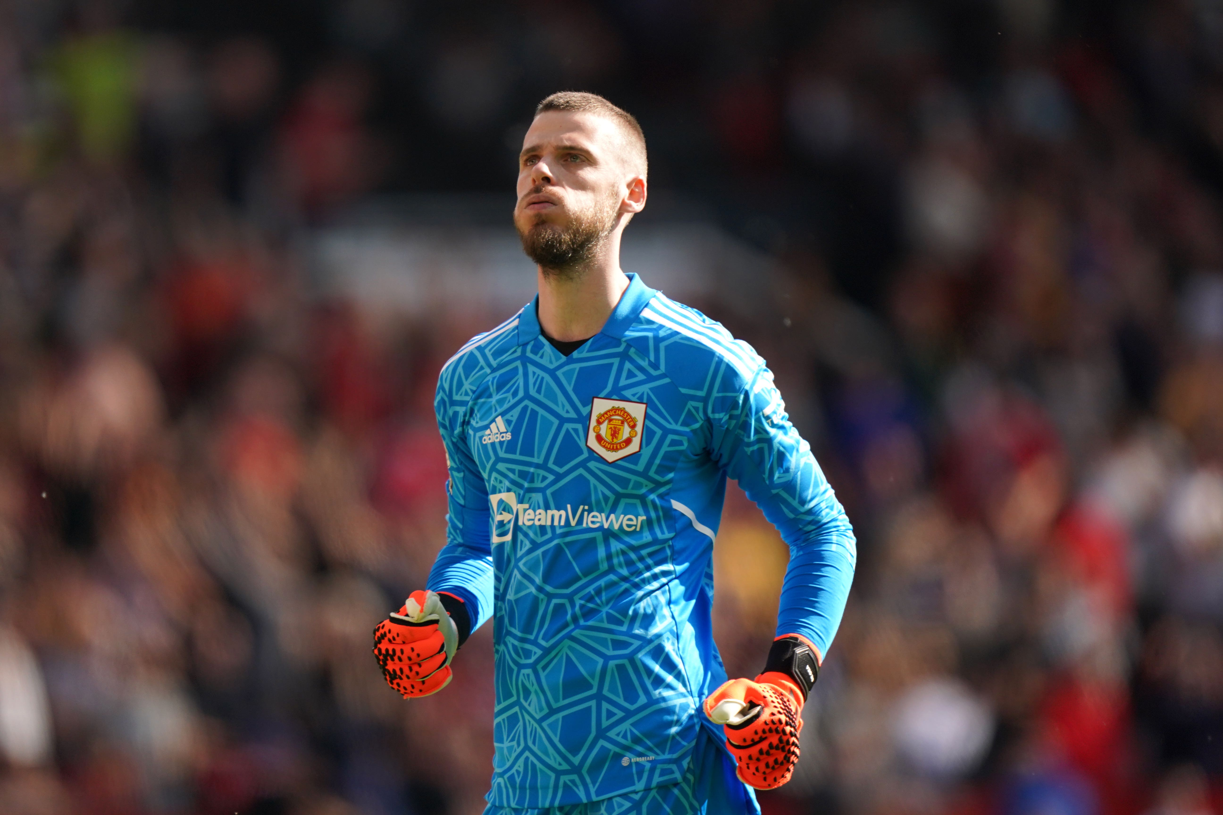 Manchester United goalkeeper David de Gea (Tim Goode/PA)