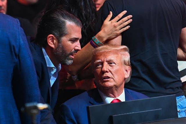 <p> Former President Donald Trump and his son Donald Trump Jr. attend the Ultimate Fighting Championship (UFC) 287 mixed martial arts event at the Kaseya Center in Miami, Florida, on April 8, 2023.</p>