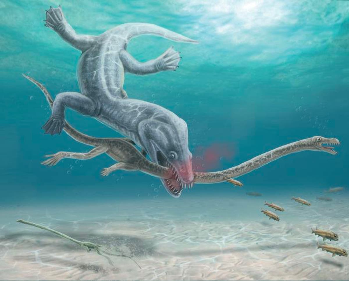 Long-necked dinosaur-era sea monsters were vulnerable to decapitation by predators
