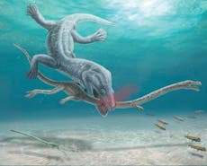 Long-necked dinosaur-era sea monsters were vulnerable to decapitation by predators, fossil confirms