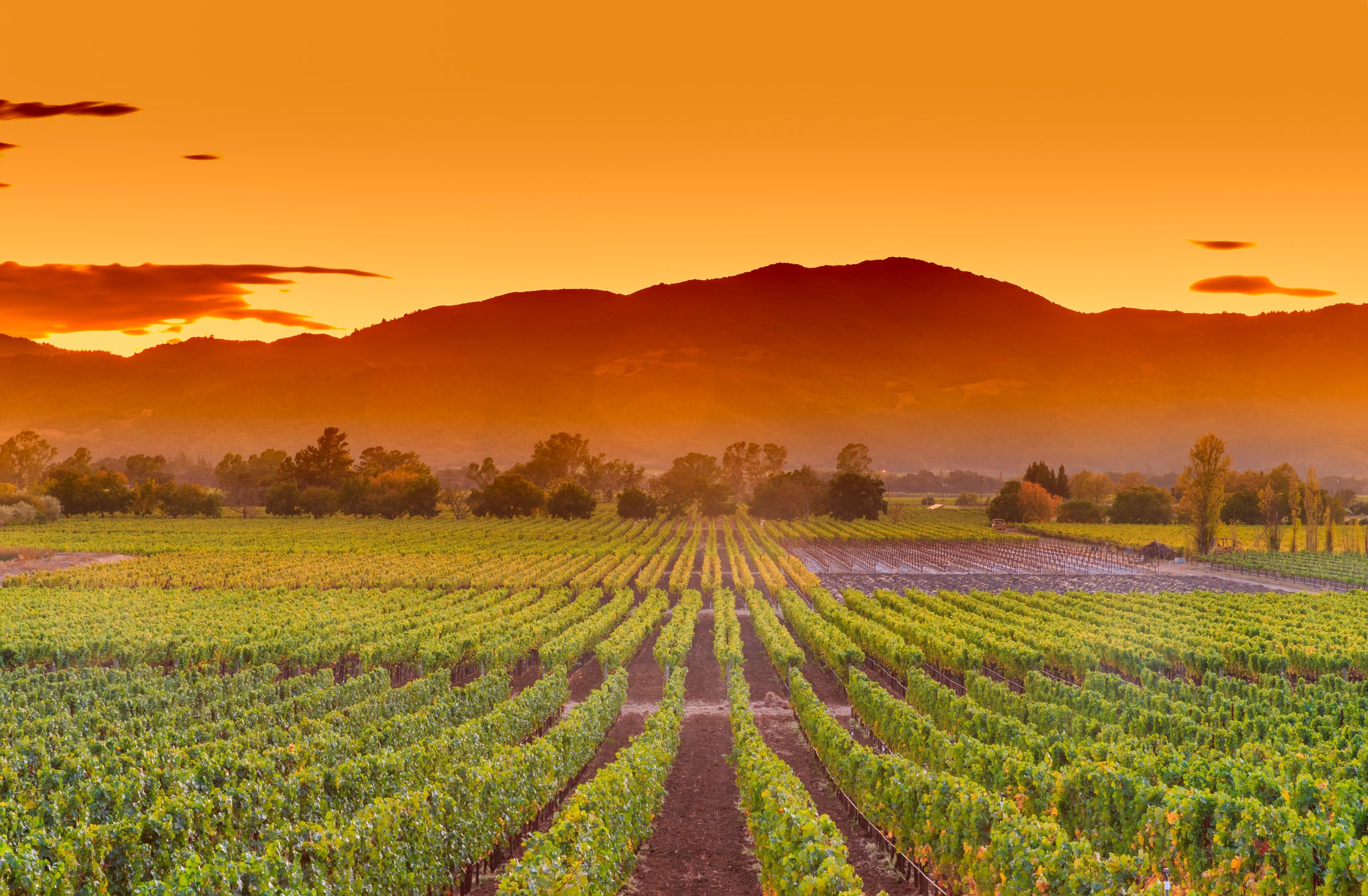 Napa Valley in Northern California is one of the world’s most premium wine destinations