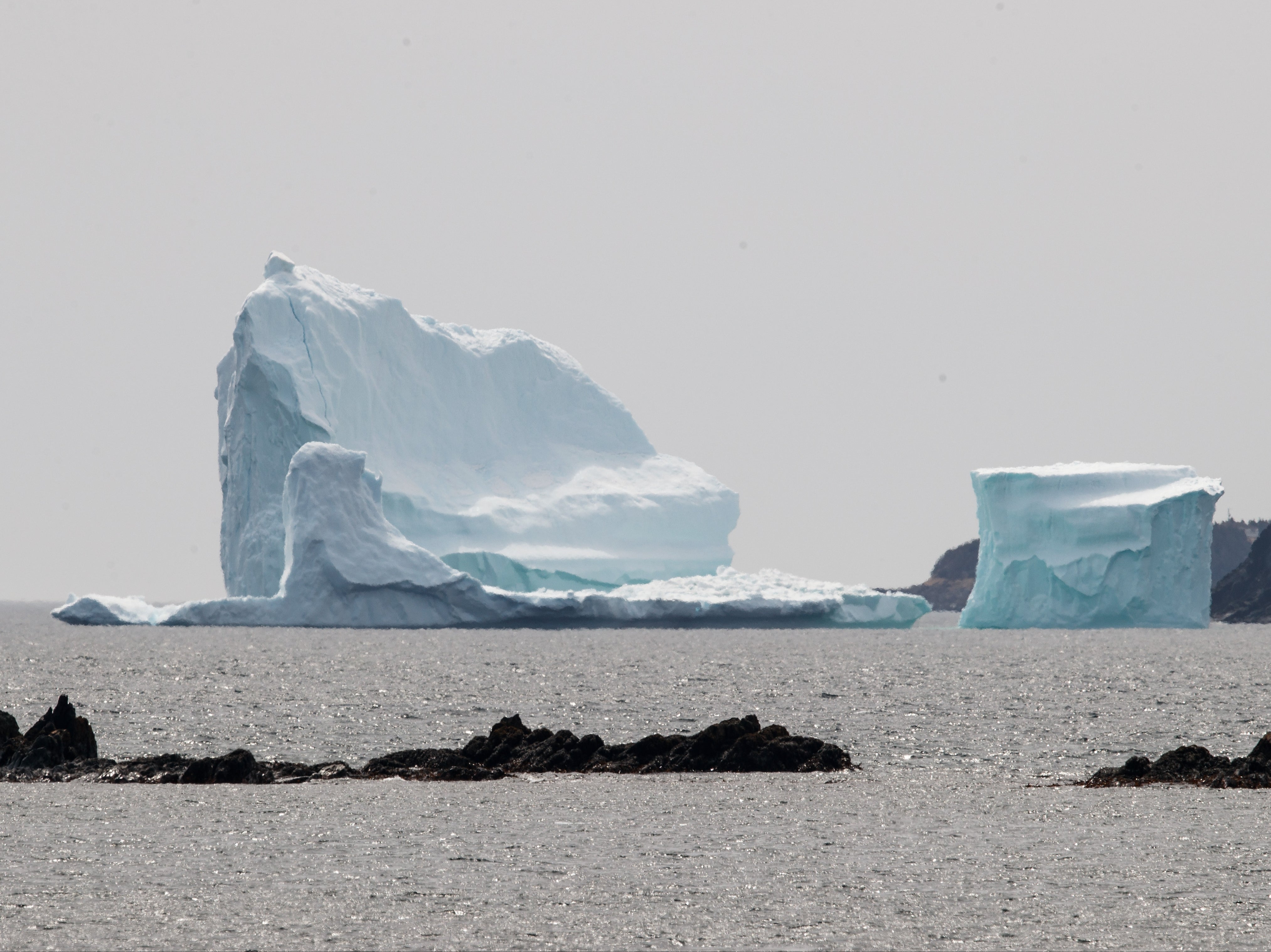 Representative image of an iceberg in Newfoundland