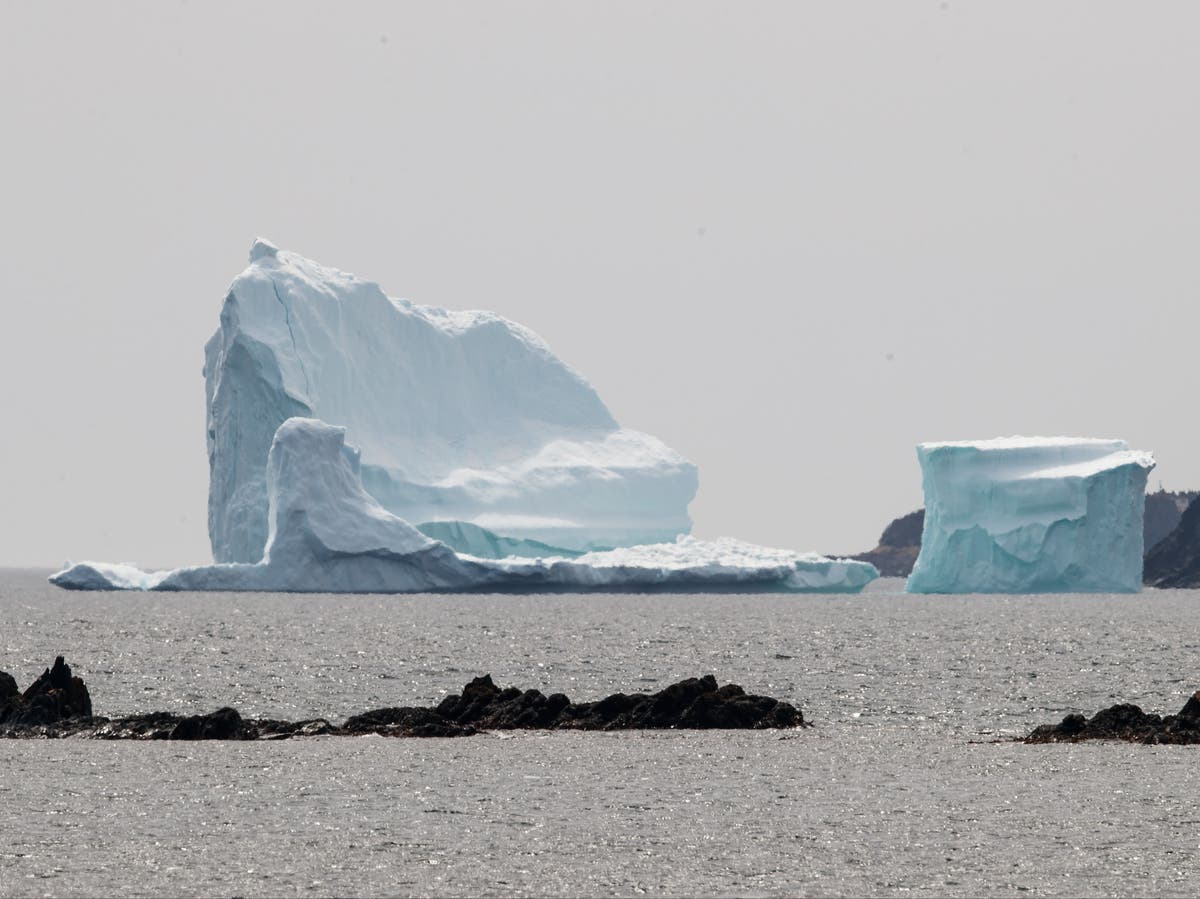 Couple caught camping atop an iceberg in Canada