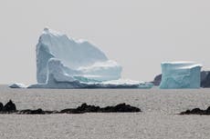 Couple caught camping atop an iceberg in Canada
