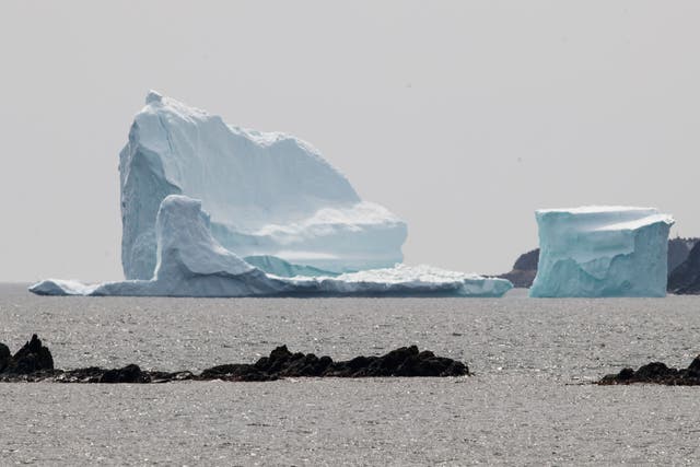 <p>Representative image of an iceberg in Newfoundland </p>