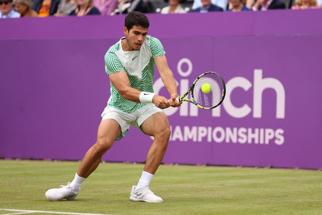 <p>Carlos Alcaraz is through to his first semi-final on grass </p>