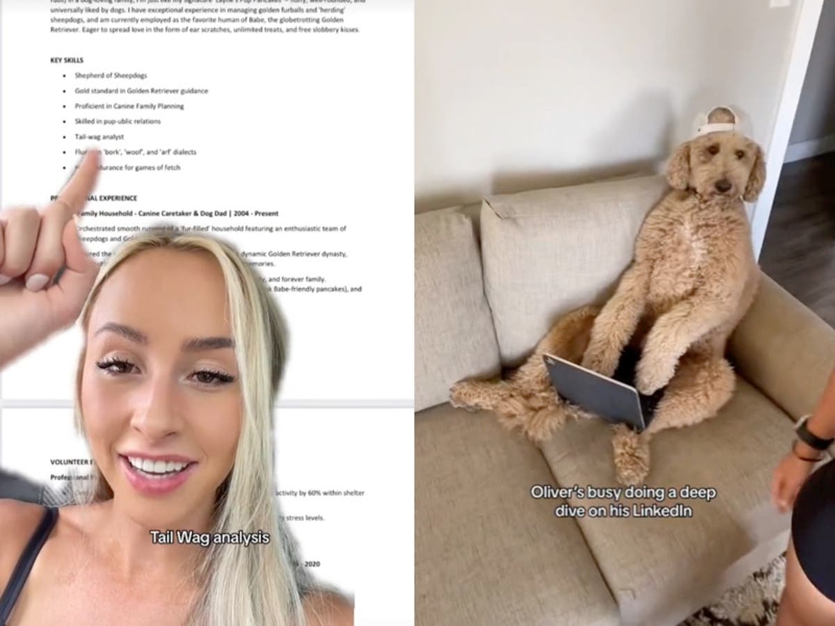 Man applauded for his dedication after he sends resume to woman&rsquo;s dog in hopes of a date