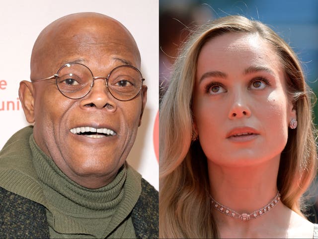 <p>Samuel L Jackson and Brie Larson</p>