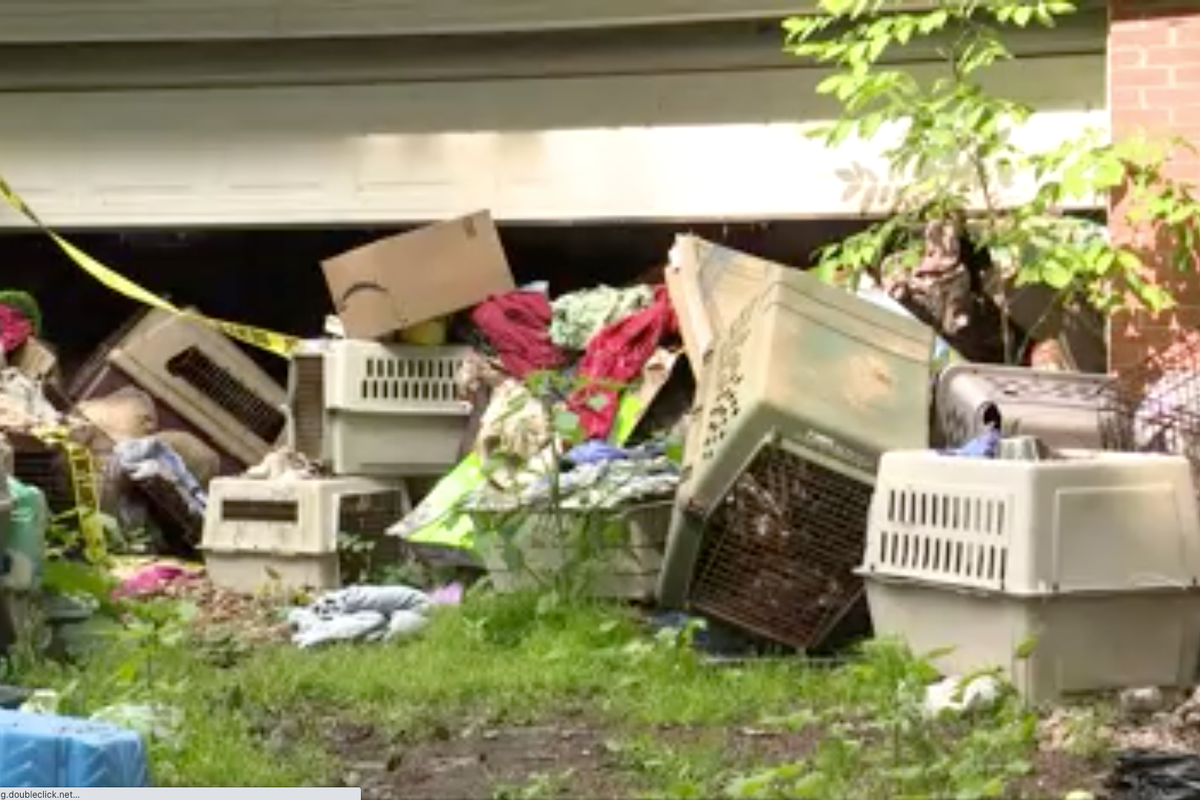 Nearly 150 dogs found dead in home of animal rescue co-founder | The ...