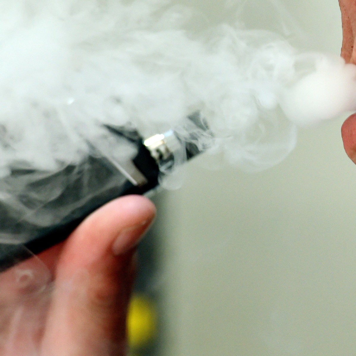 Disposable vapes a danger to dogs as well as children, ministers warned | The Independent Disposable vapes a danger to dogs as well as children, ministers warned | The Independent