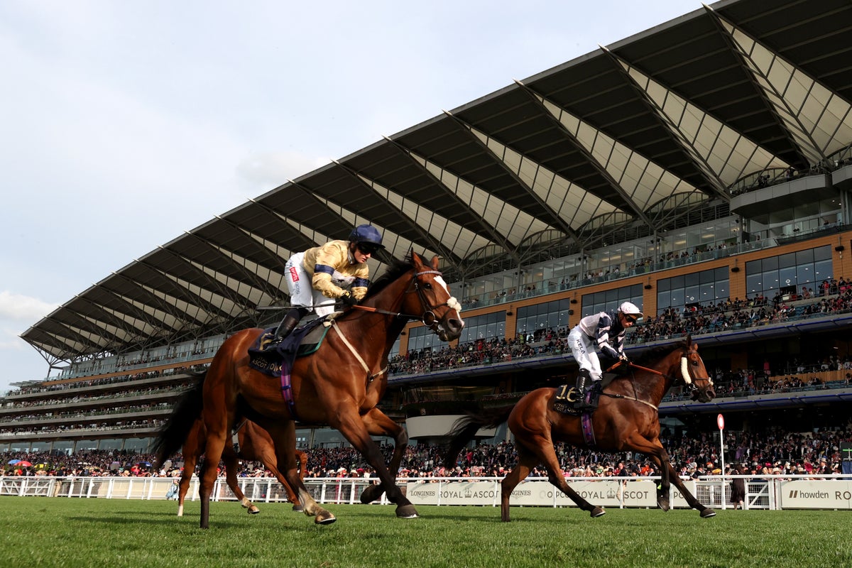 Royal Ascot tips: Day 2 best bets and 7 horses to watch