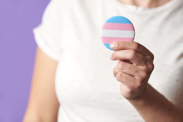 How can I be a better trans ally? (Alamy/PA)