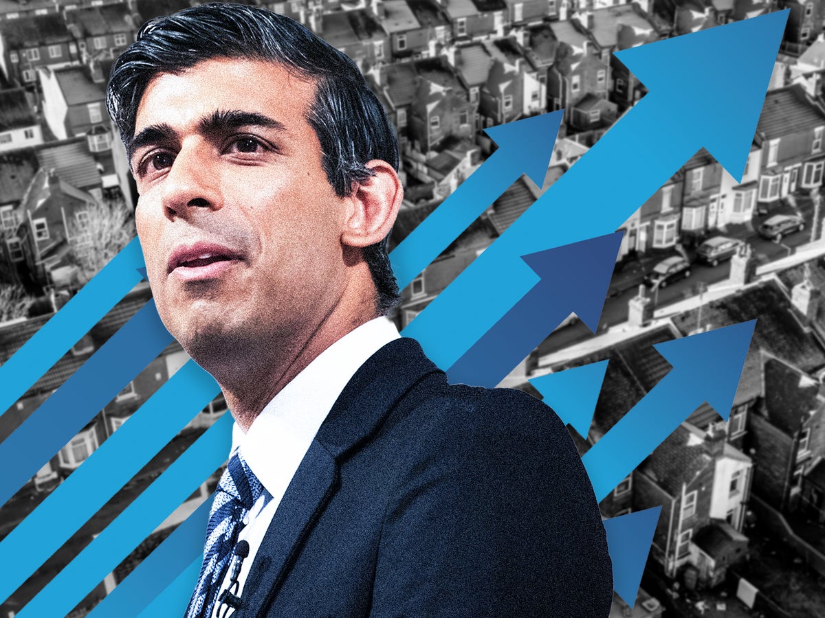 Rishi Sunak admits inflation target now harder to hit as experts warn ‘giant wave’ recession likely
