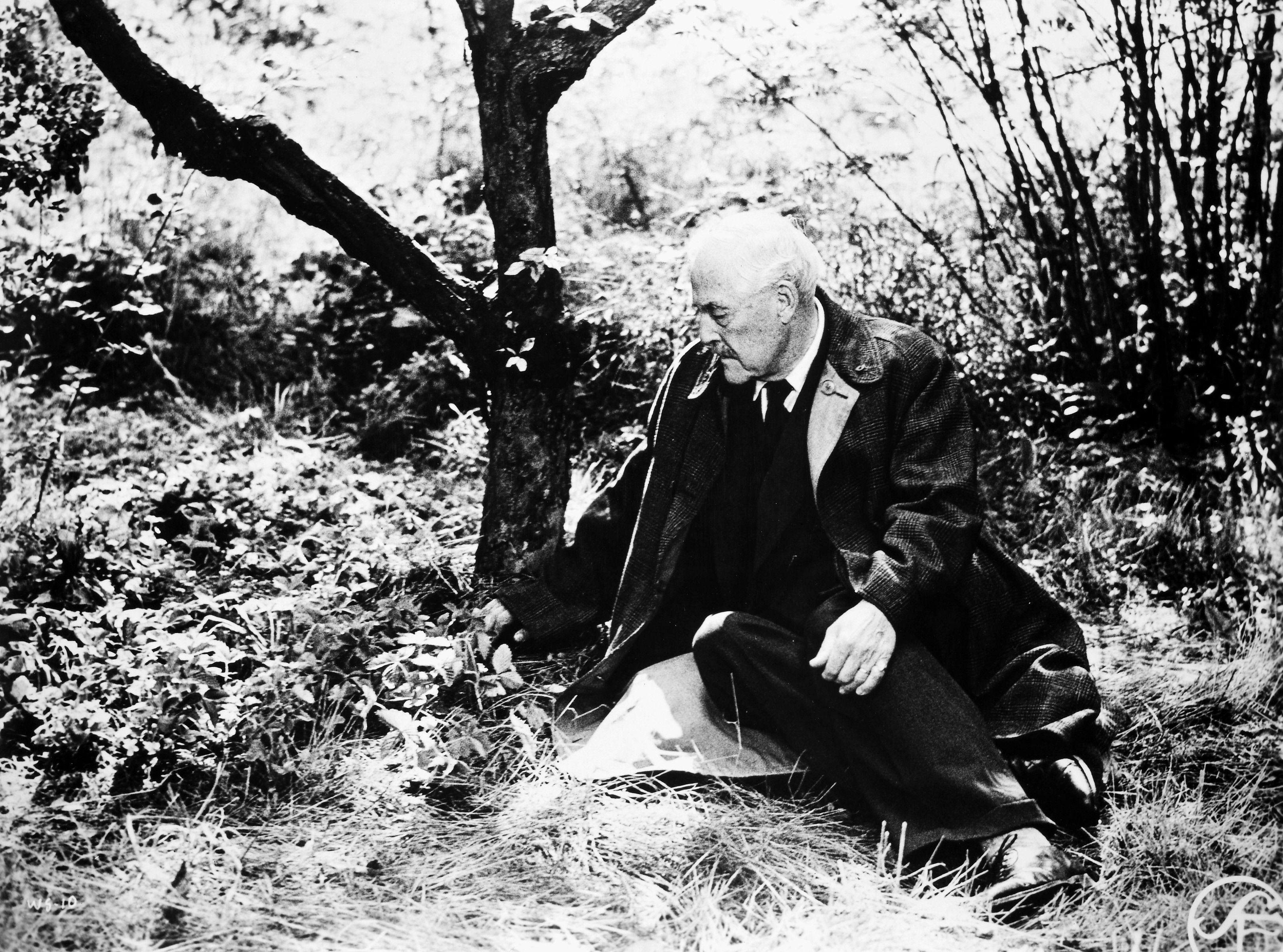 Ingmar Bergman’s 1957 classic ‘Wild Strawberries’ has some lovely, wistful scenes in which the crotchety old professor (Victor Sjöström) is transported to the lost kingdom of his youth