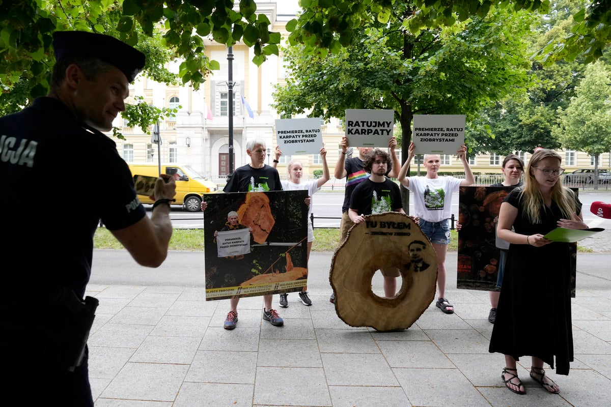 Greenpeace protests mass logging of old-growth forests in Carpathian Mountains